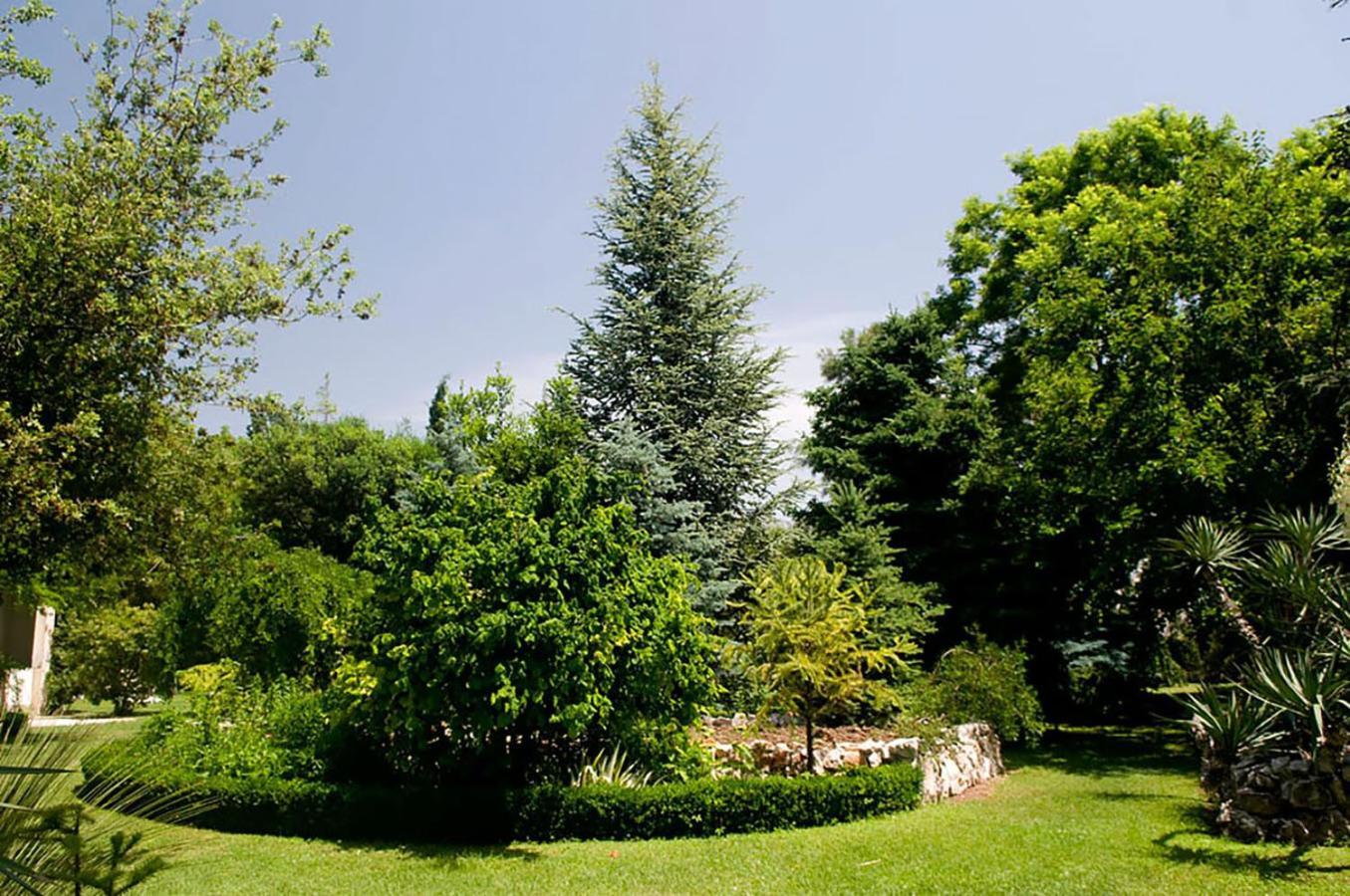 Palmaja Kaštela